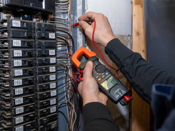 Best Electrician for Home Renovation  in Richmond, MN