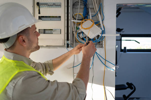 Best Electric Panel Repair  in Richmond, MN