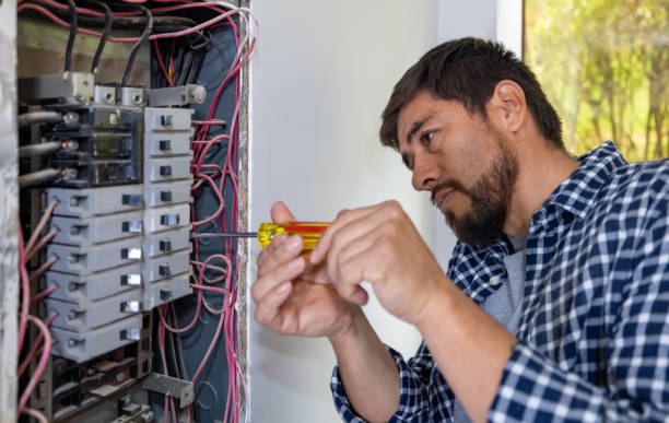 Best Licensed Electrician  in Richmond, MN